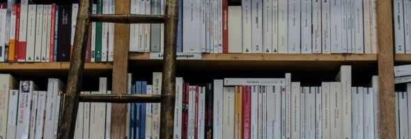 Multimedia & Interactivity